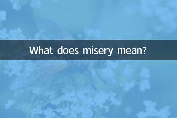 悲惨とはどういう意味ですか？