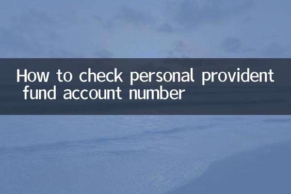 How to check personal provident fund account number