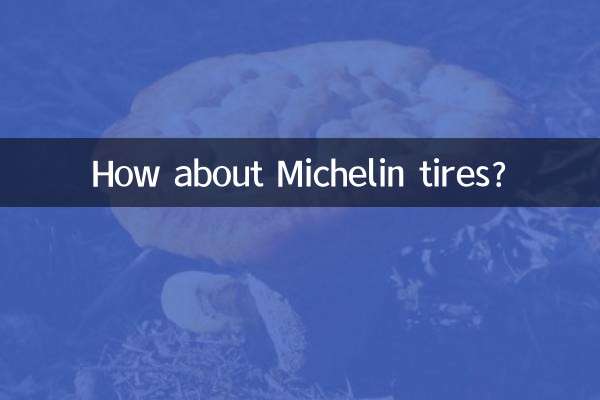मिशेलिन टायर के बारे में क्या ख्याल है?