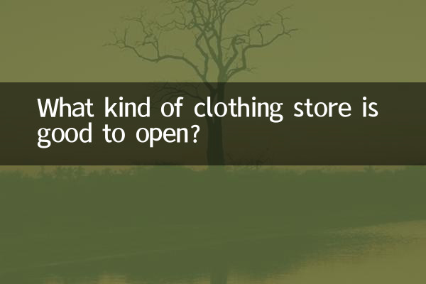 ¿Qué tipo de tienda de ropa es buena para abrir?