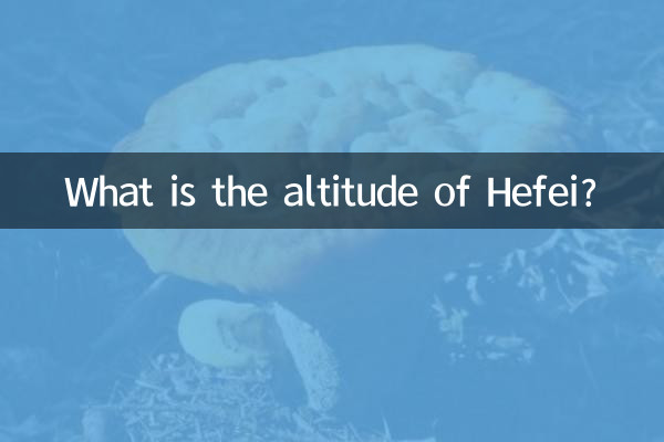 ارتفاع هفی چقدر است؟