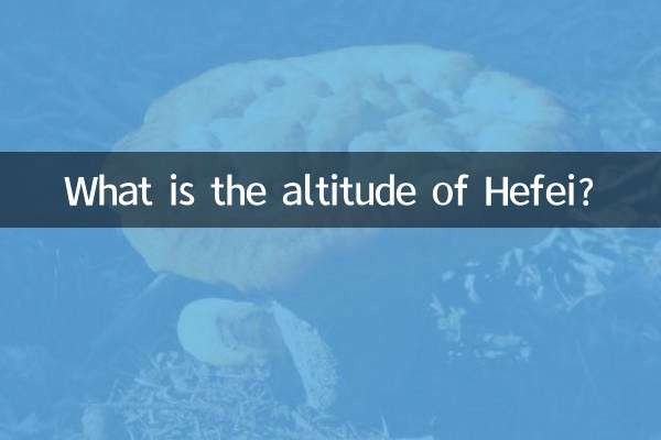 ارتفاع هفی چقدر است؟