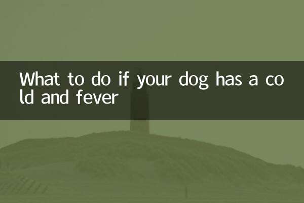 আপনার কুকুর সর্দি এবং জ্বর হলে কি করবেন