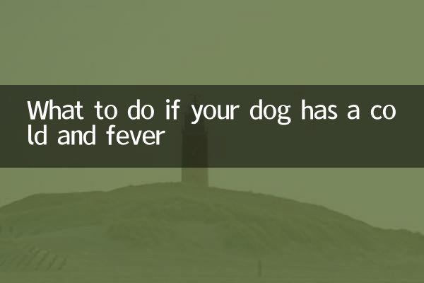 Что делать, если у вашей собаки простуда и температура