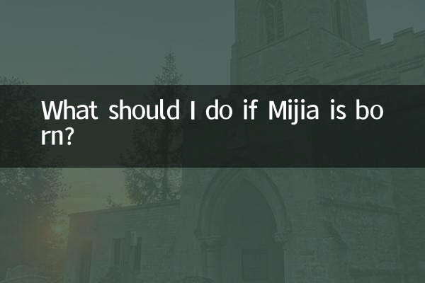 미지아가 태어나면 어떻게 해야 하나요?