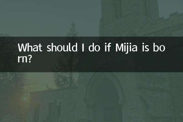 미지아가 태어나면 어떻게 해야 하나요?