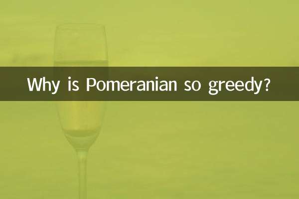 Perché il Pomerania è così avido?