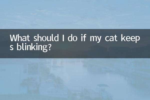 Was soll ich tun, wenn meine Katze ständig blinzelt?