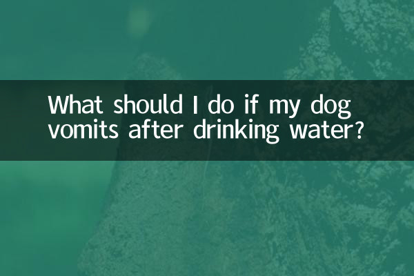 What should I do if my dog vomits after drinking water?