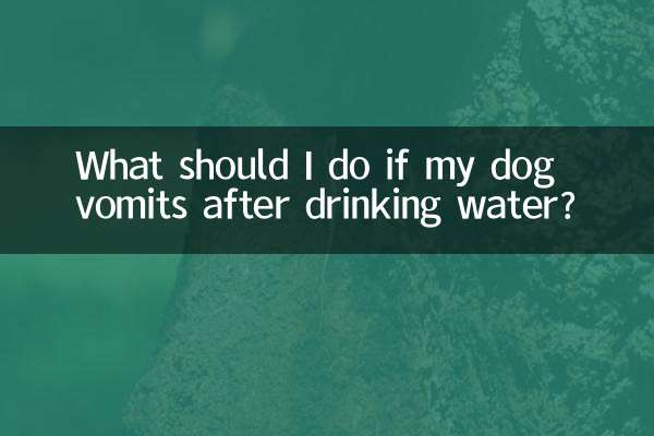 यदि मेरा कुत्ता पानी पीने के बाद उल्टी कर दे तो मुझे क्या करना चाहिए?