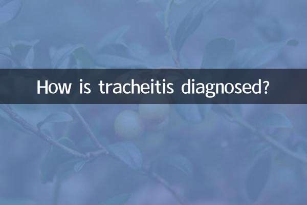 기관염은 어떻게 진단되나요?