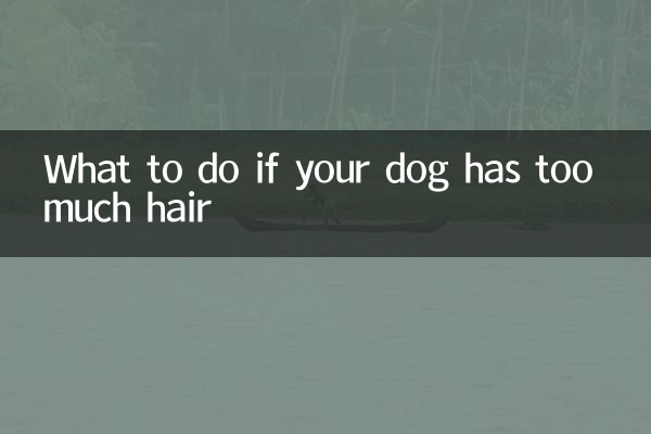 狗毛太多怎麼辦