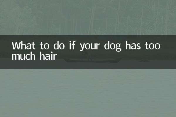 狗毛太多怎么办