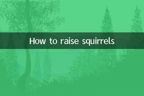 কিভাবে কাঠবিড়ালি বাড়াতে