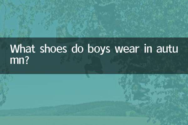 男の子が秋に履く靴は何ですか?