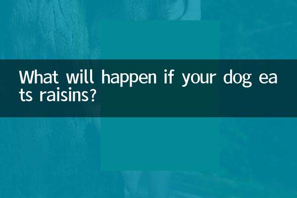 What will happen if your dog eats raisins?