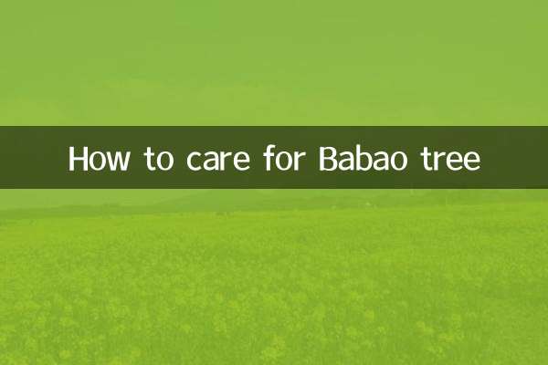 Cómo cuidar el árbol Babao
