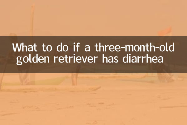 अगर तीन महीने के गोल्डन रिट्रीवर को दस्त हो तो क्या करें