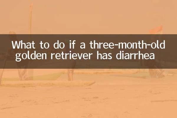 अगर तीन महीने के गोल्डन रिट्रीवर को दस्त हो तो क्या करें