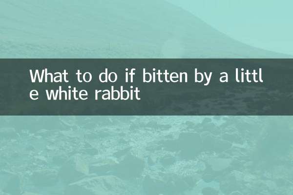 Cosa fare se morso da un coniglietto bianco