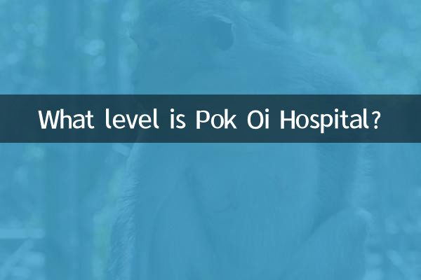 ¿Qué nivel tiene el Hospital Pok Oi?