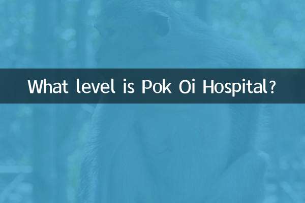¿Qué nivel tiene el Hospital Pok Oi?