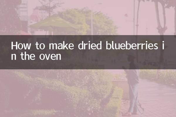 오븐에서 말린 블루베리 만드는 법