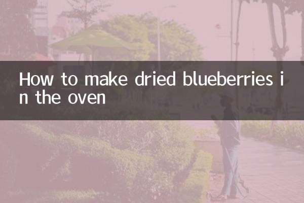 오븐에서 말린 블루베리 만드는 법