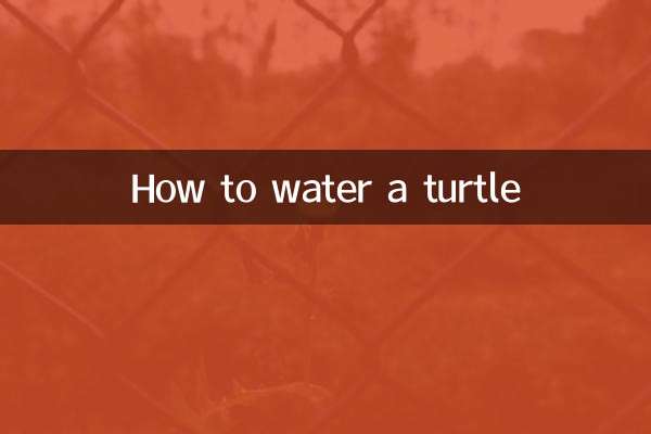 Cómo regar una tortuga