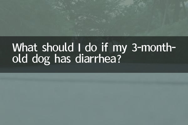 3個月的狗狗拉稀怎麼辦