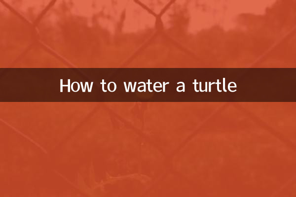 カメに水をやる方法