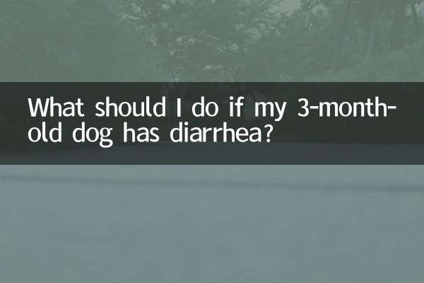 3個月的狗狗拉稀怎麼辦