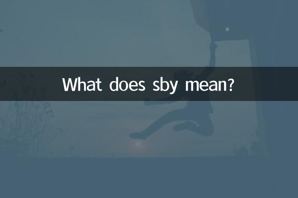 ایس بی ای کا کیا مطلب ہے؟