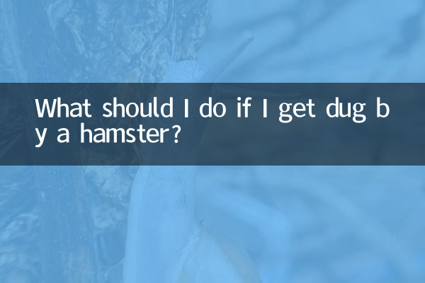 यदि मुझे हम्सटर द्वारा खोदा जाए तो मुझे क्या करना चाहिए?