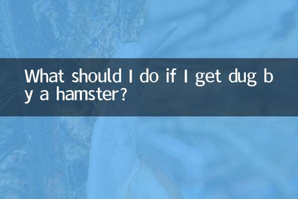 被倉鼠挖了怎麼辦