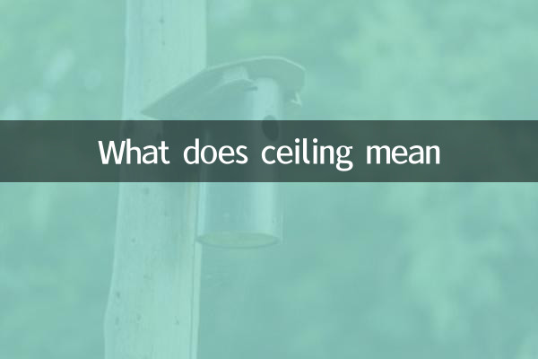 What does ceiling mean