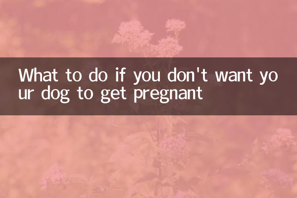 What to do if you don't want your dog to get pregnant