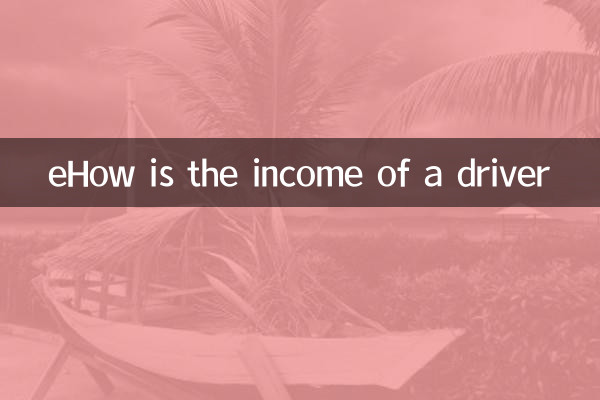 eHow is the income of a driver