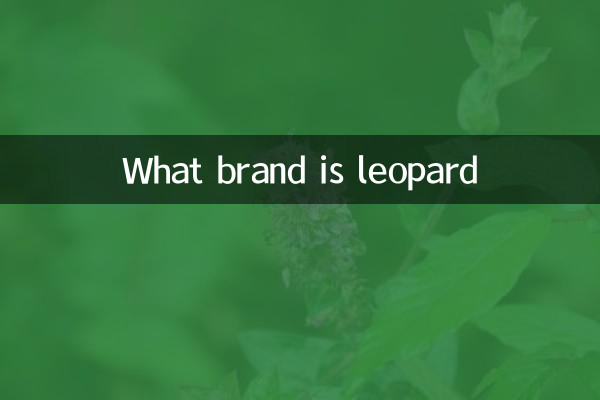 What brand is leopard