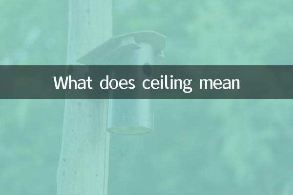 What does ceiling mean