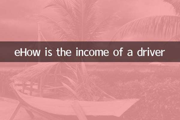 eHow is the income of a driver