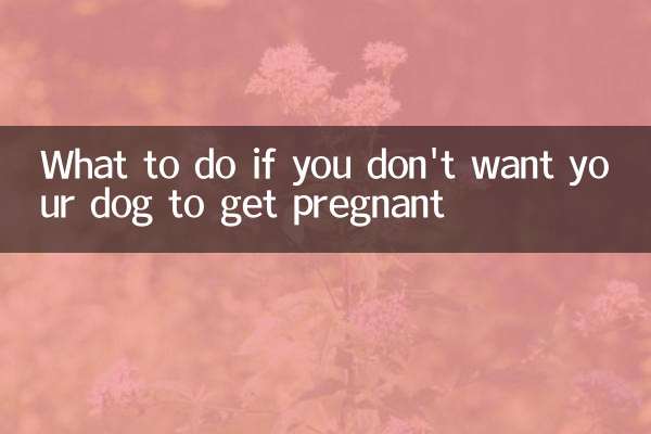 What to do if you don't want your dog to get pregnant