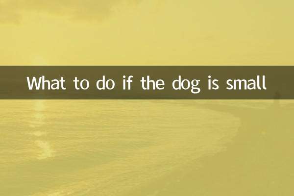What to do if the dog is small