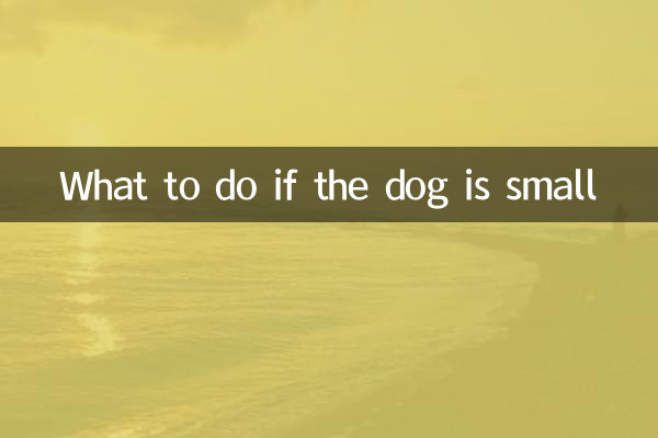 What to do if the dog is small
