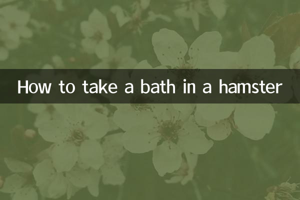 How to take a bath in a hamster