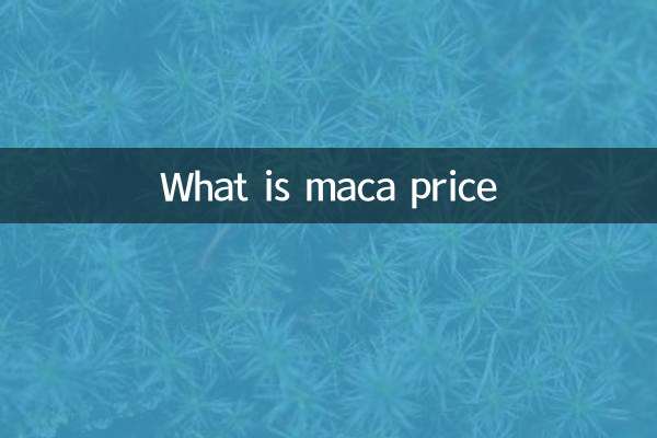 ¿Qué es el precio de la maca?