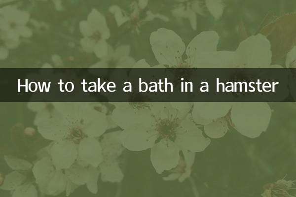 How to take a bath in a hamster