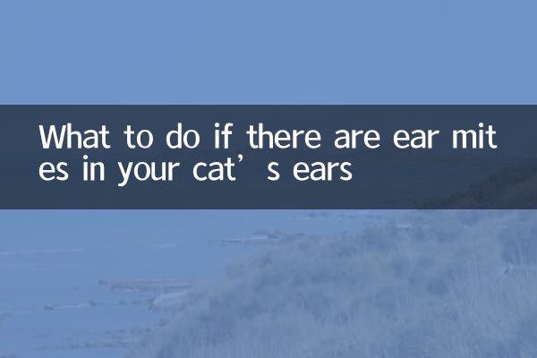 What to do if there are ear mites in your cat’s ears