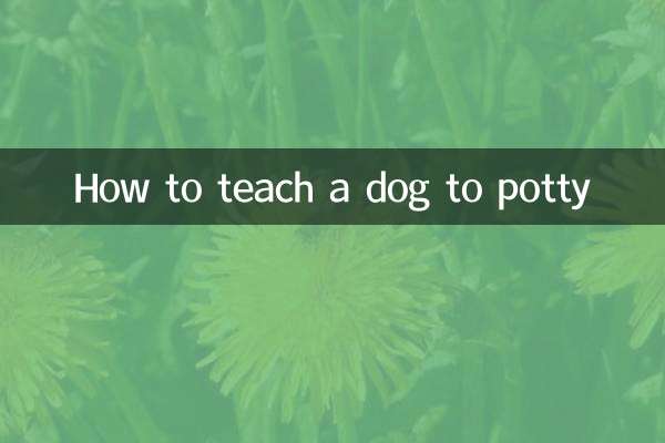 Como ensinar um cachorro a usar o penico