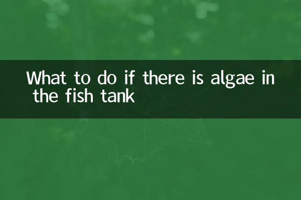 What to do if there is algae in the fish tank